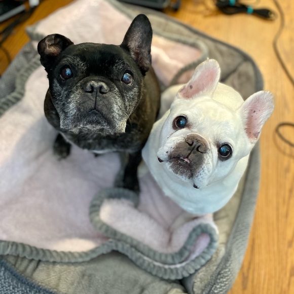 Family & friends - Picture 8 of 8